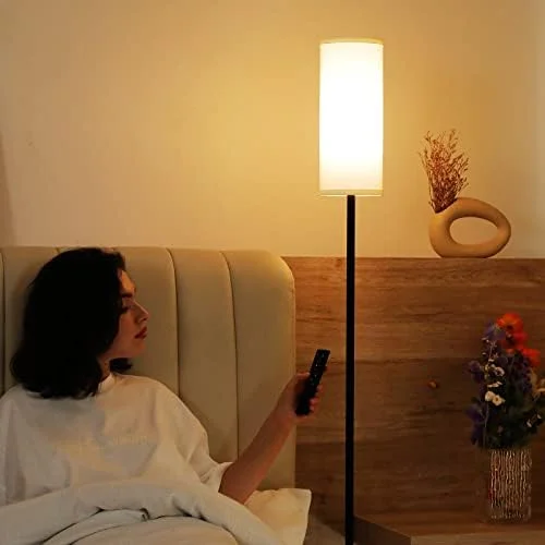 Ambimall Floor Lamps for Living Room, 64" Modern Floor Lamp with Remote Control and Stepless Dimmable Colors Temperature & Brightness, Standing Lamps